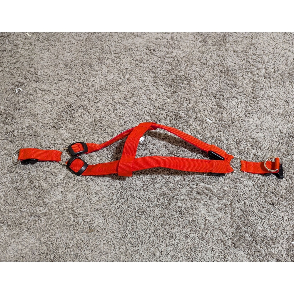 Red Dog Harness